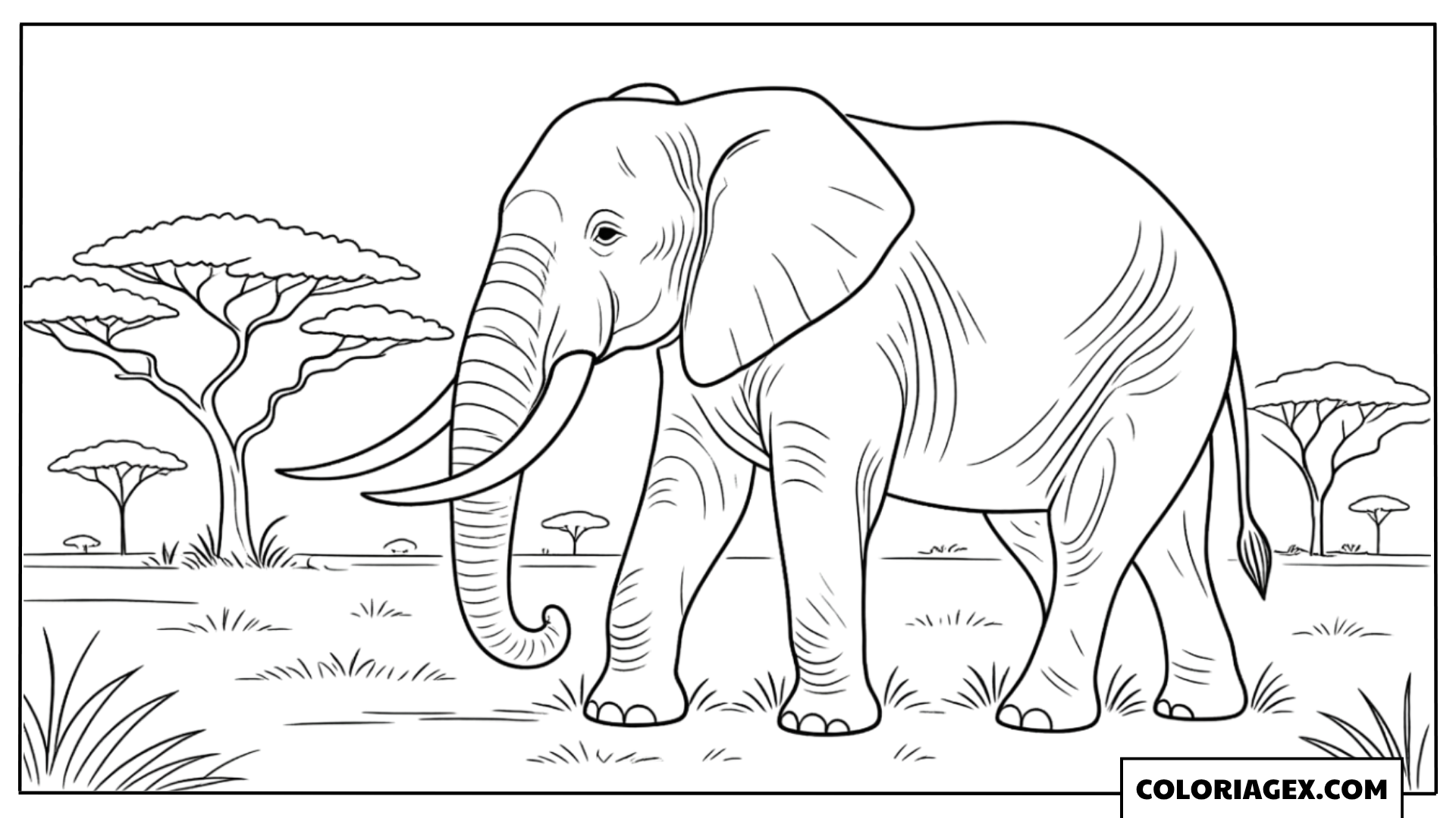 Coloriage Grand éléphant savane