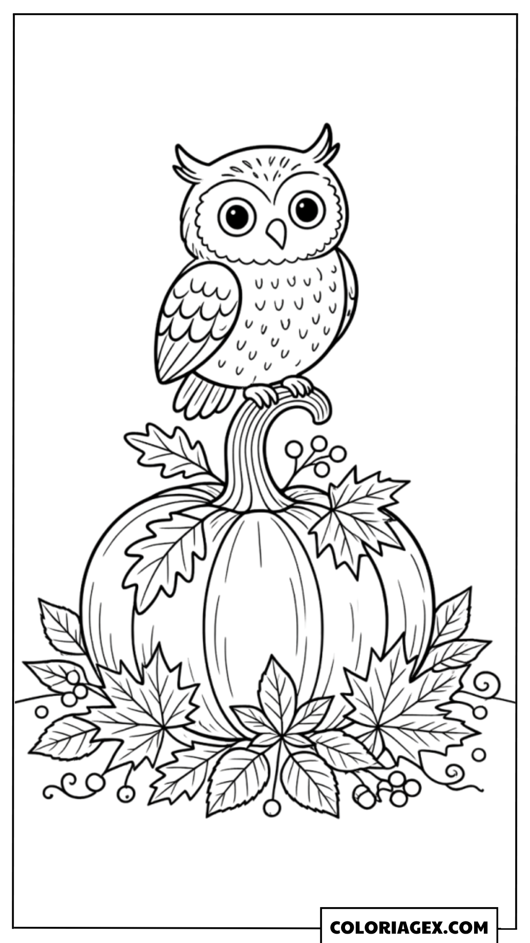 Coloriage Hibou sur Citrouille