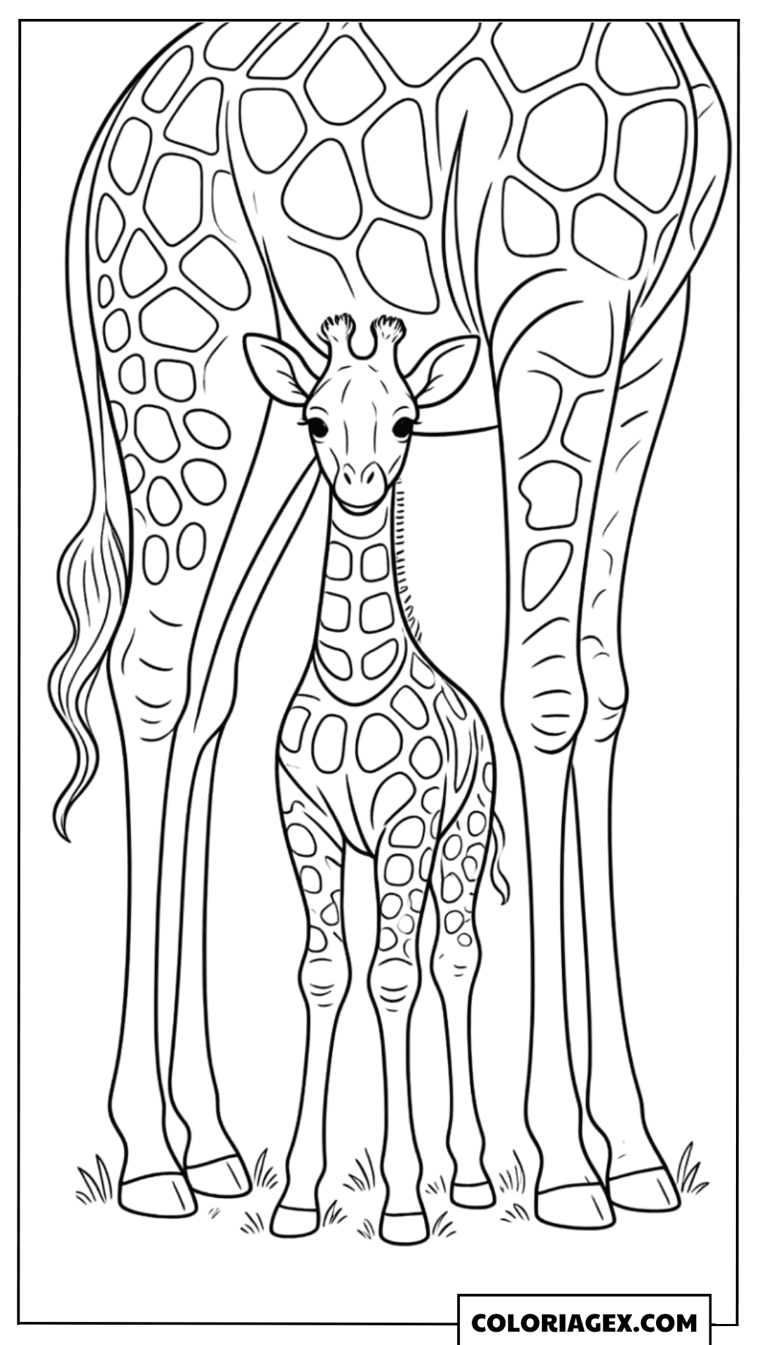 Coloriage Maman girafe avec son bébé