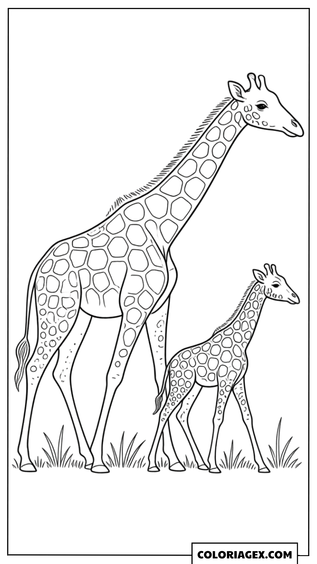 Coloriage Maman girafe et girafon dans la savane