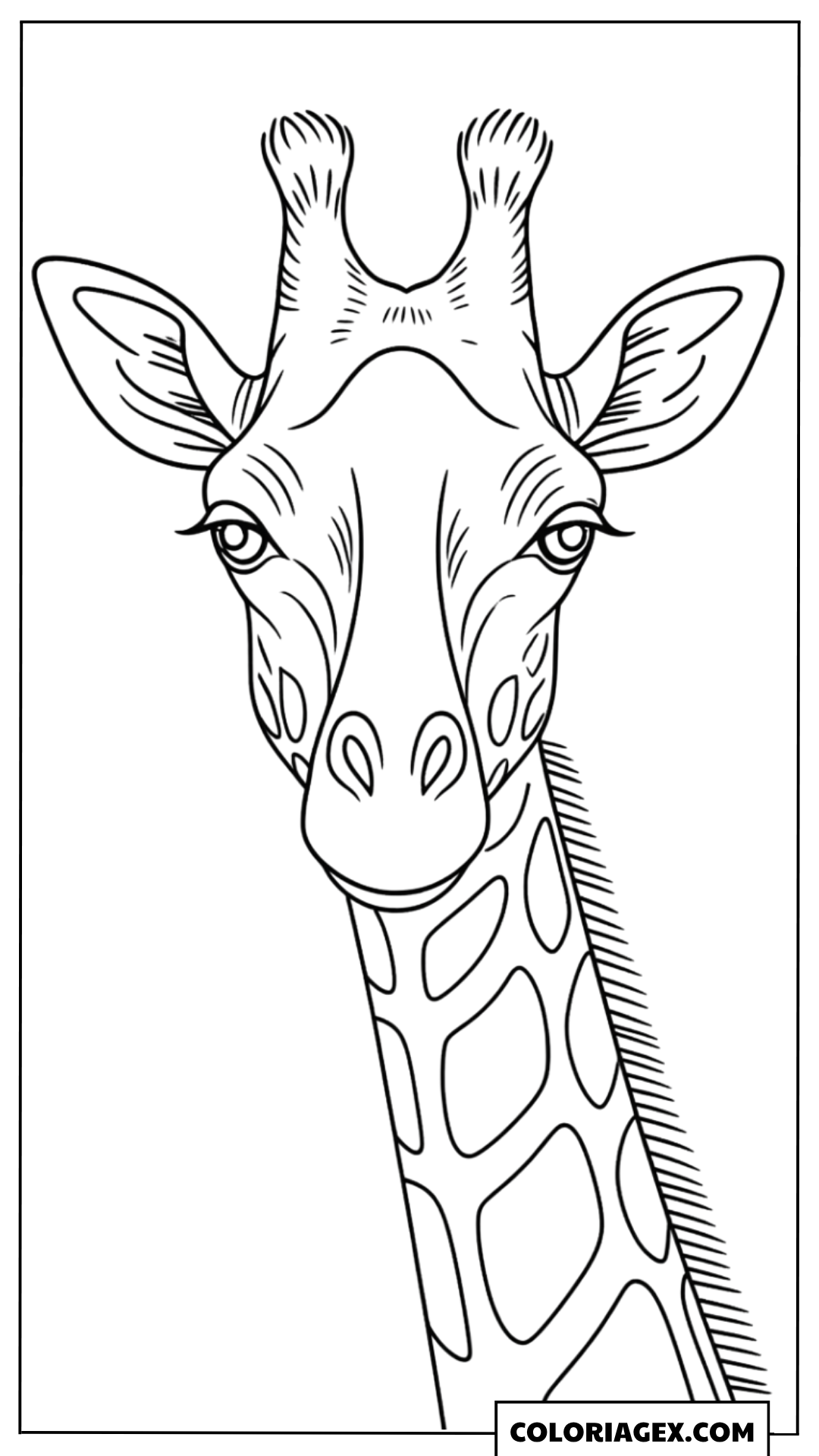 Coloriage Portrait de girafe réaliste