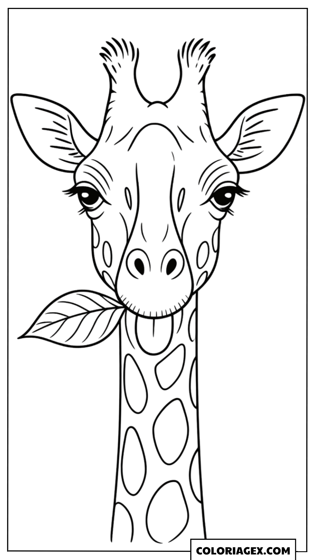Coloriage Tête de girafe mignonne