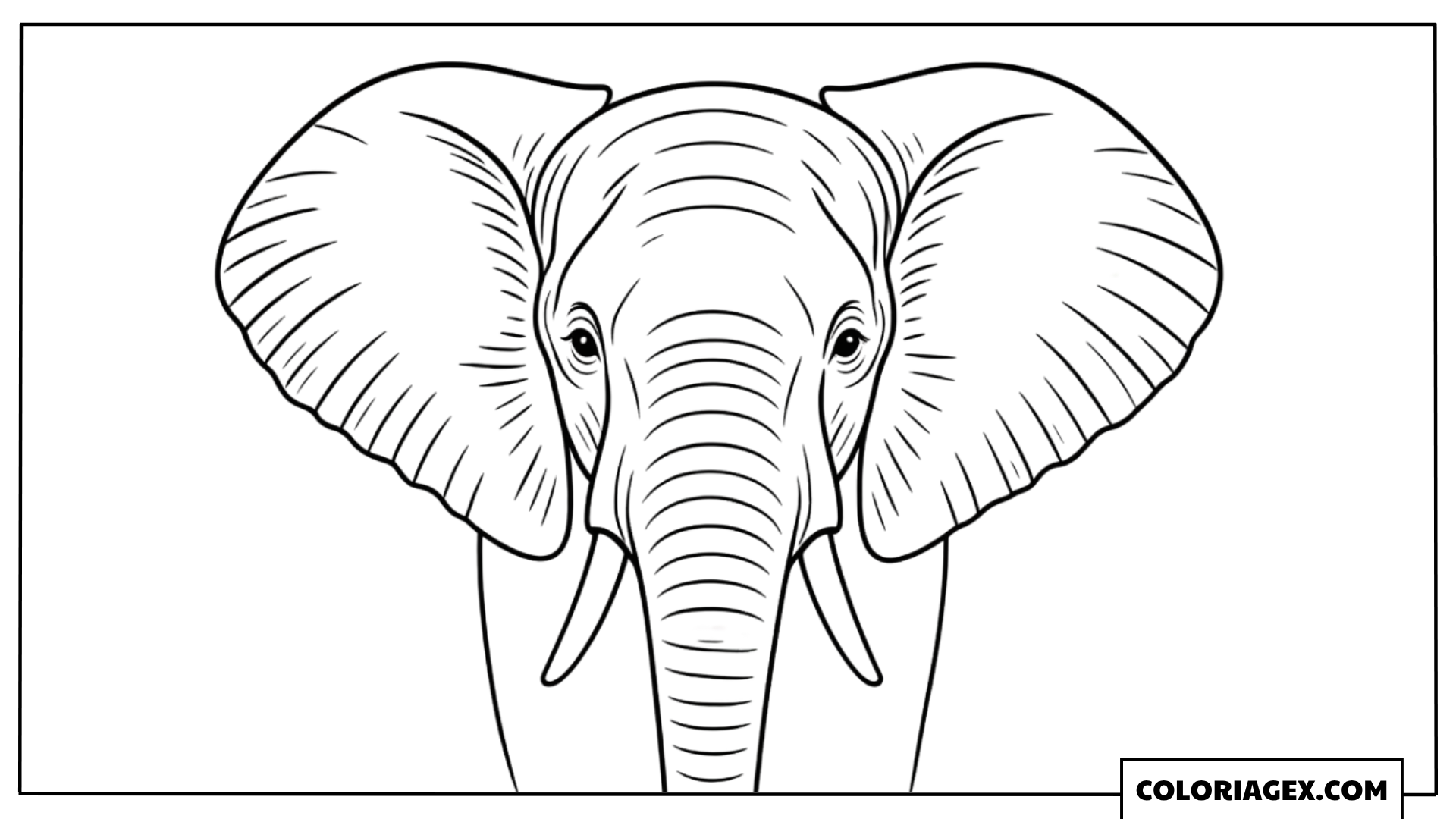 Coloriage Tête éléphant réaliste