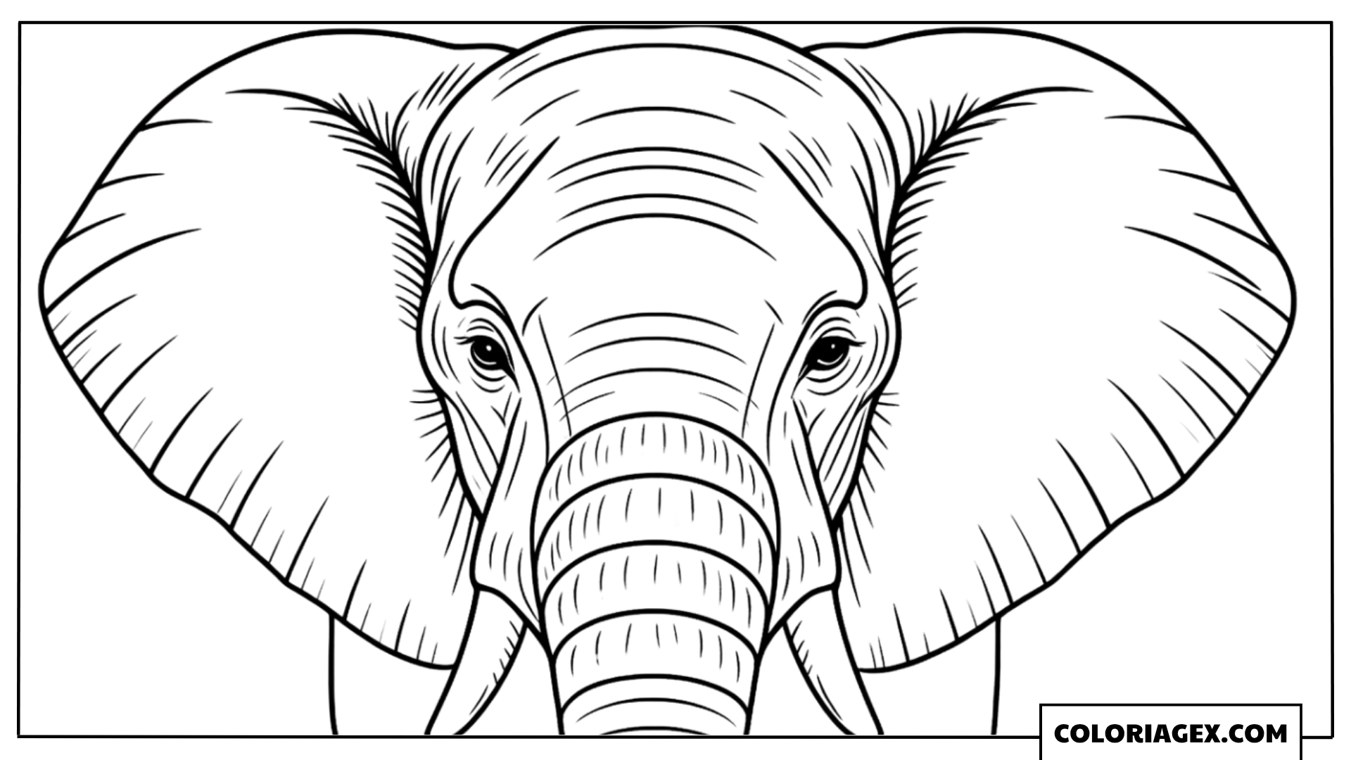 Coloriage Tête éléphant réaliste