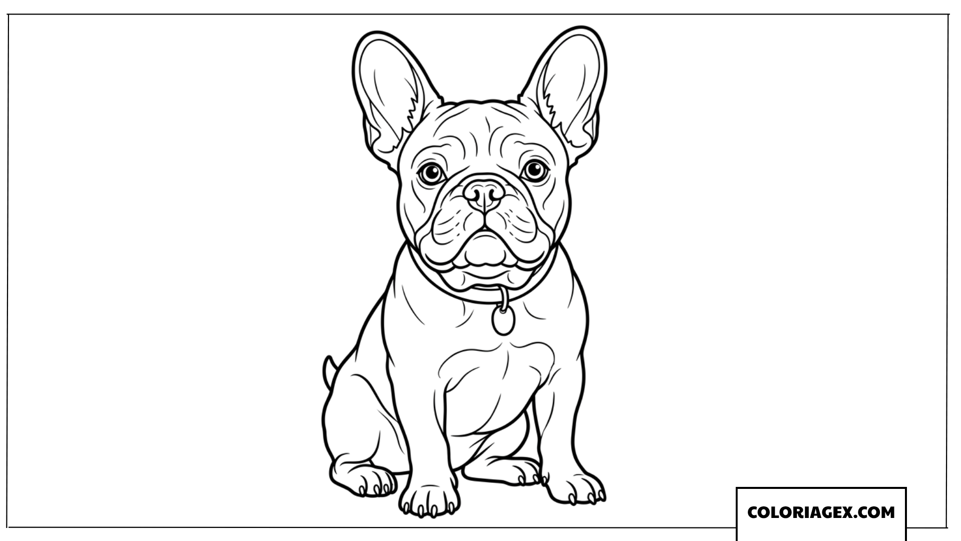 Coloriage bouledogue francais fier avec ses oreilles