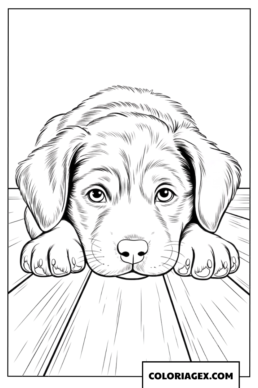 Coloriage chiot allongé sur parquet en bois