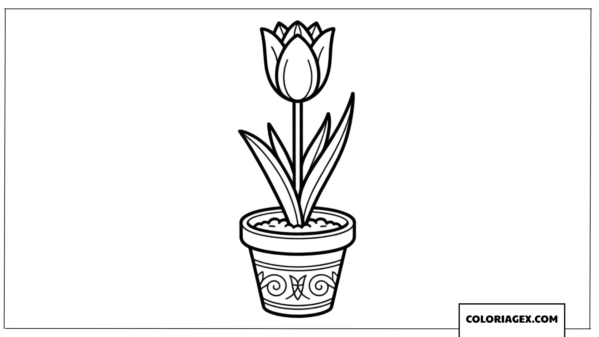 Coloriage d une jolie fleur de tulipe dans son pot
