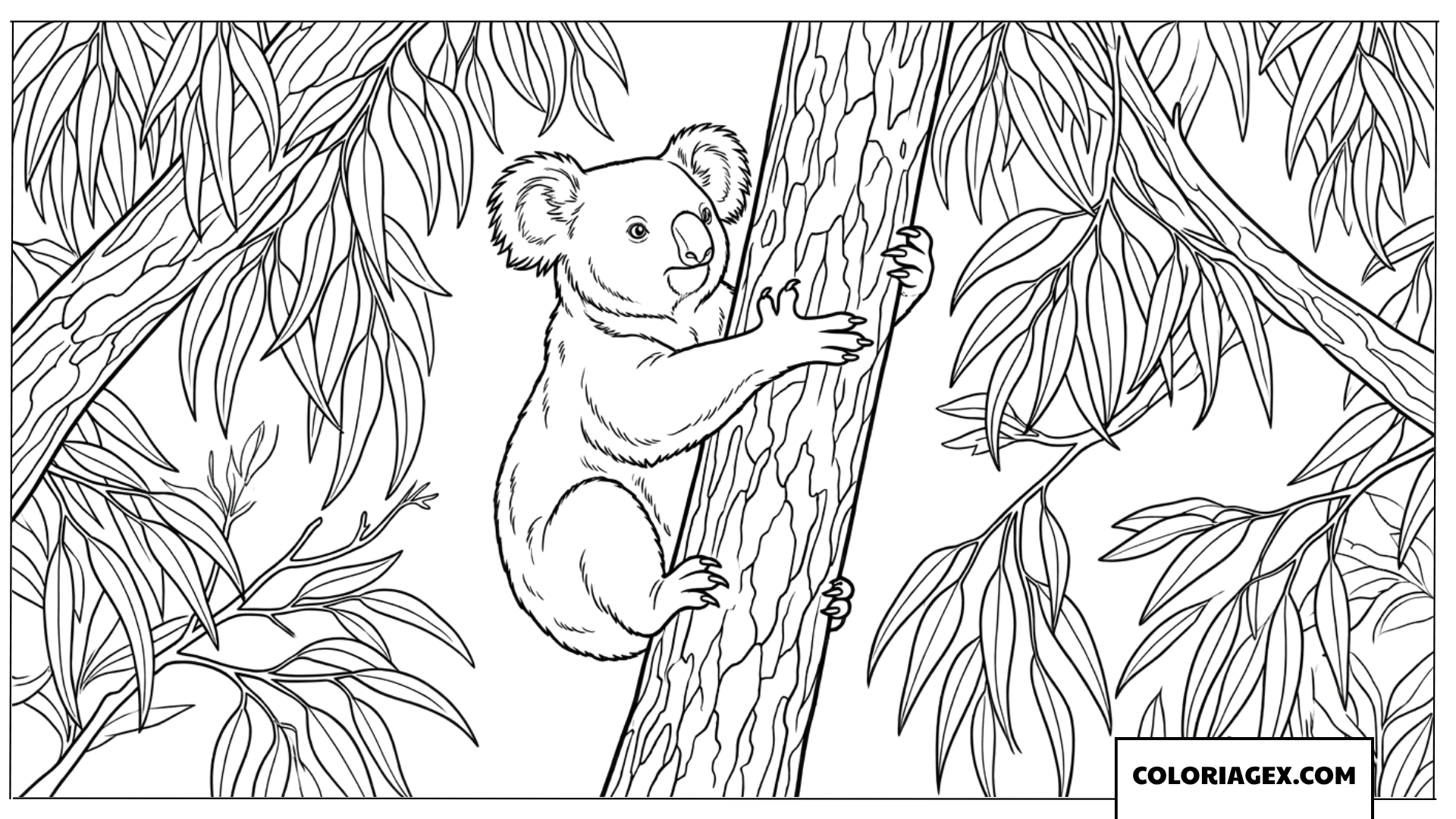 Coloriage de Koala grimpant sur le tronc deucalyptus