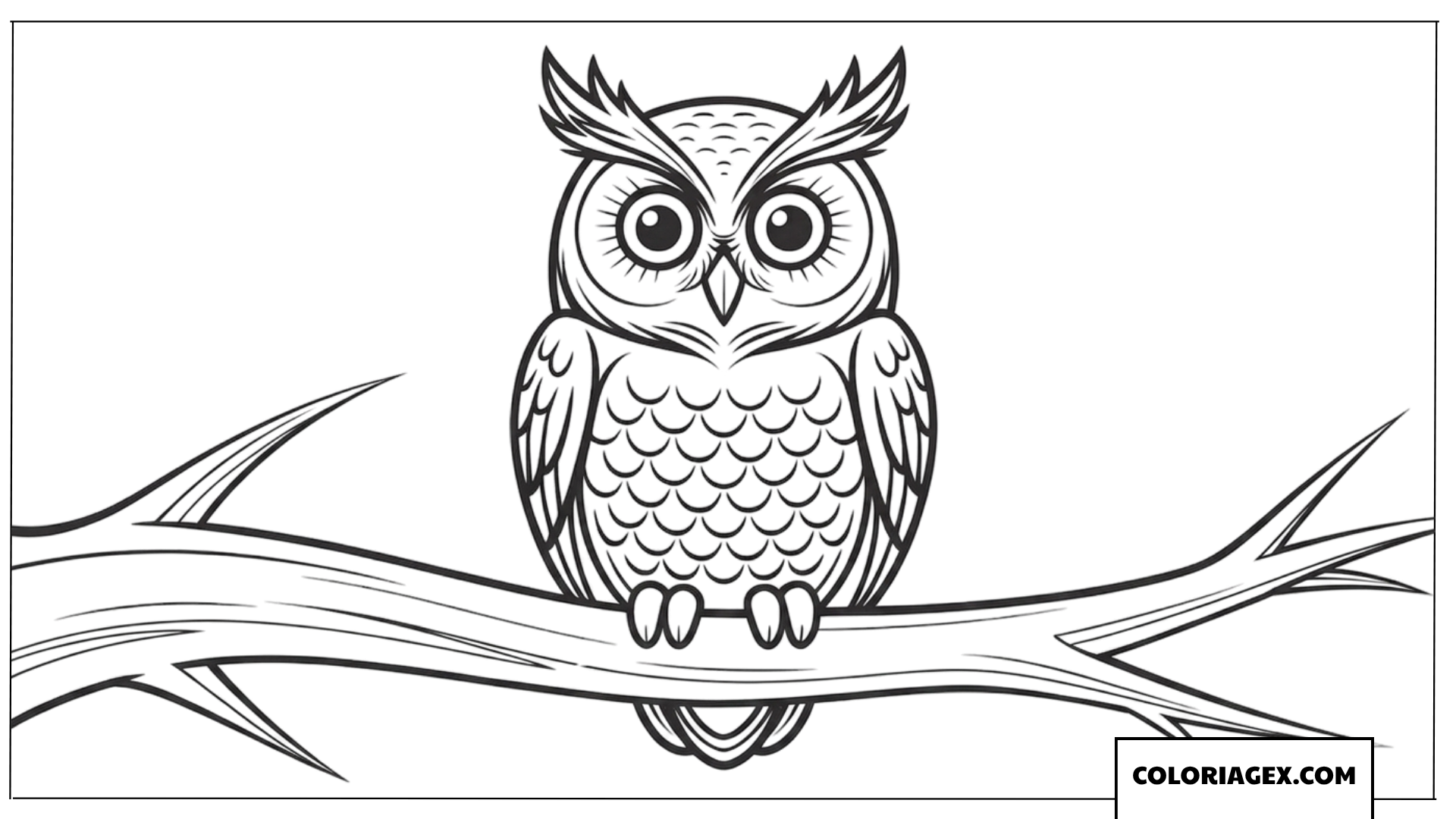 Coloriage de chouette majestueuse sur sa branche