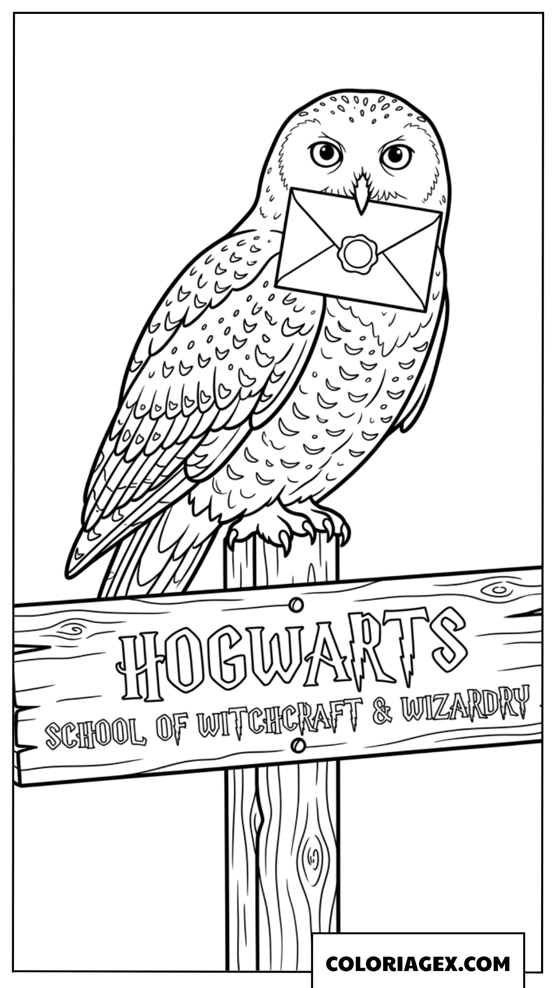 Coloriage de la fidele chouette Hedwige