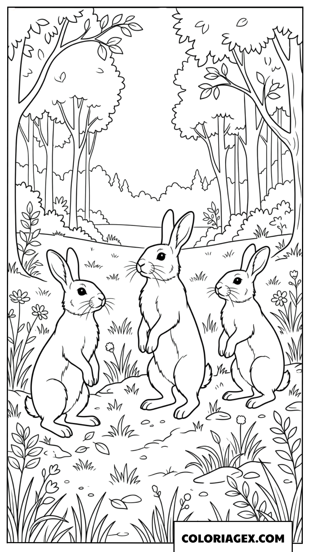 Coloriage de lapins sauvages observant la nature