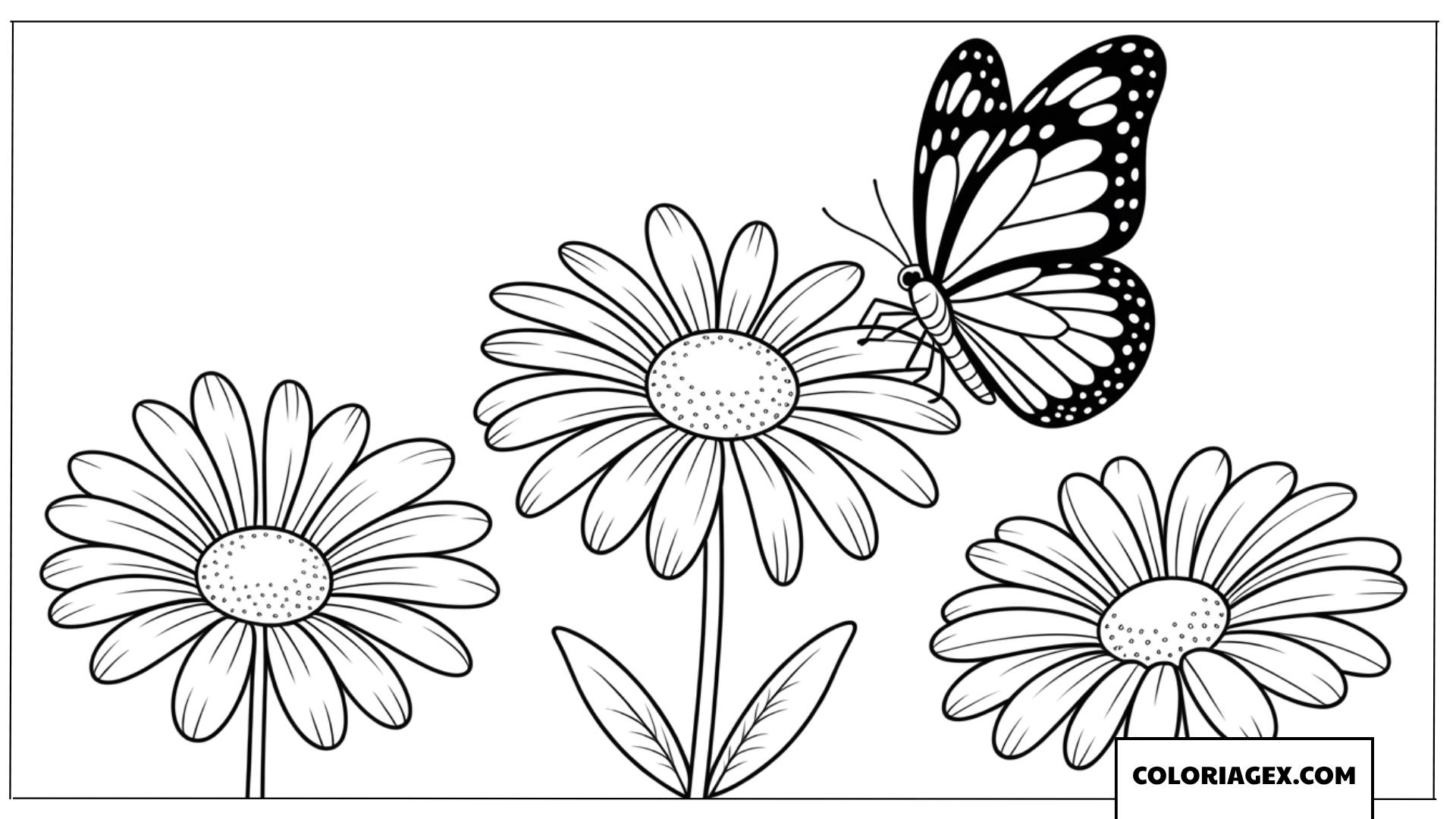 Coloriage de marguerites avec un petit papillon