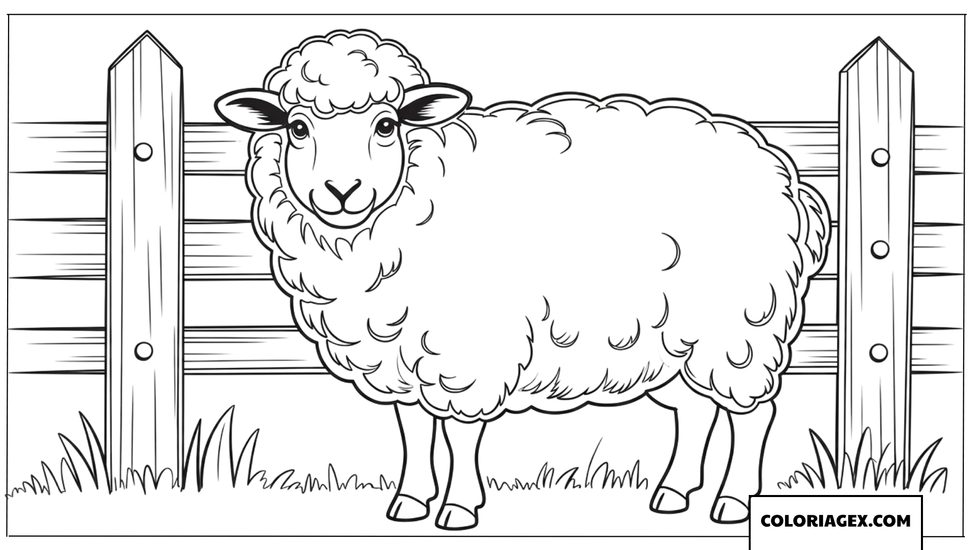 Coloriage de mouton laineux près d'une clôture