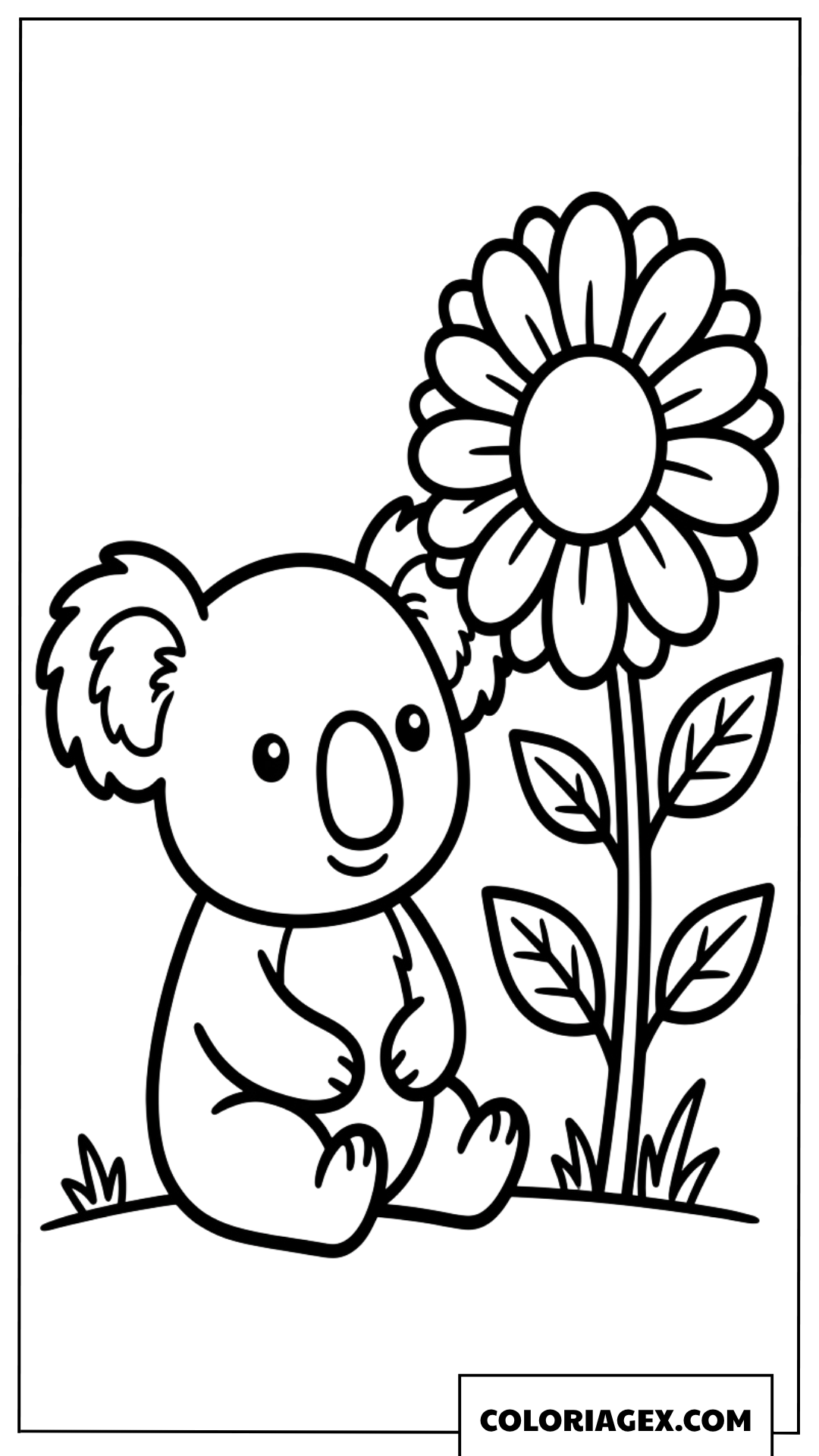 Coloriage de petit Koala assis près dune grande fleur