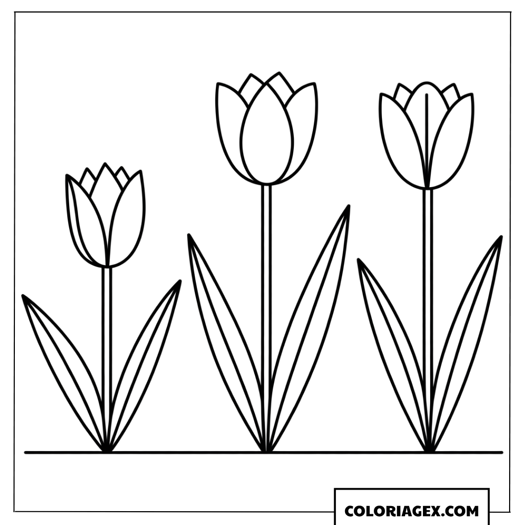 Coloriage de trois magnifiques tulipes dans le jardin