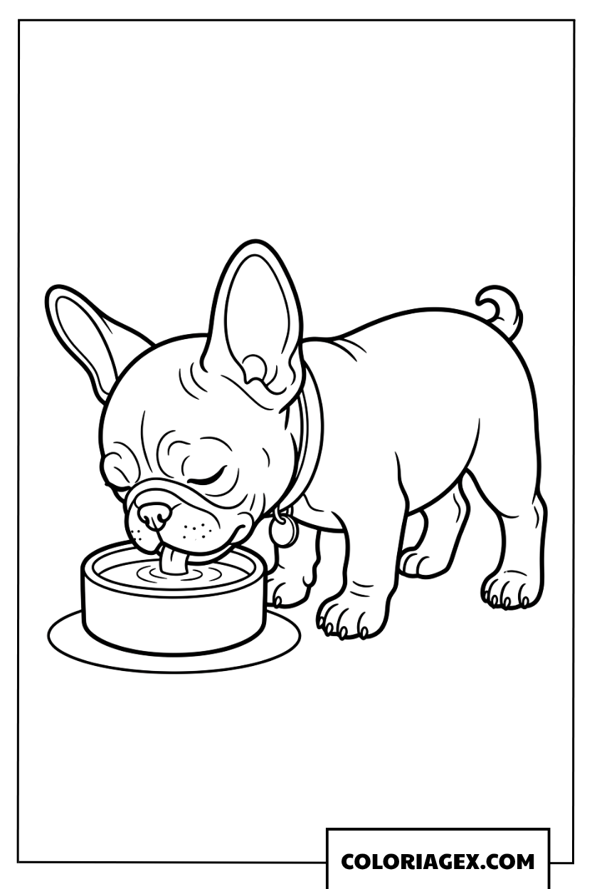 Coloriage d'un adorable chiot Bouledogue Français buvant du lait