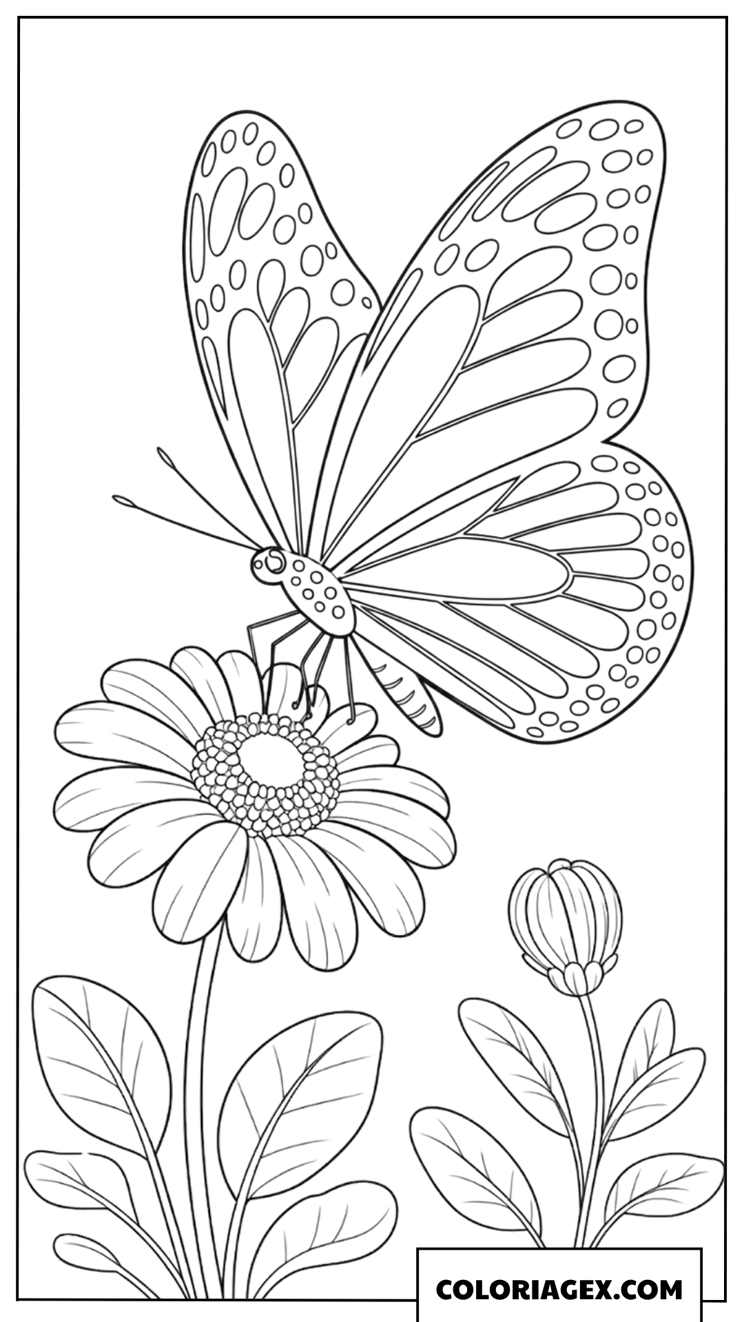 Coloriage d'un beau papillon posé sur une fleur