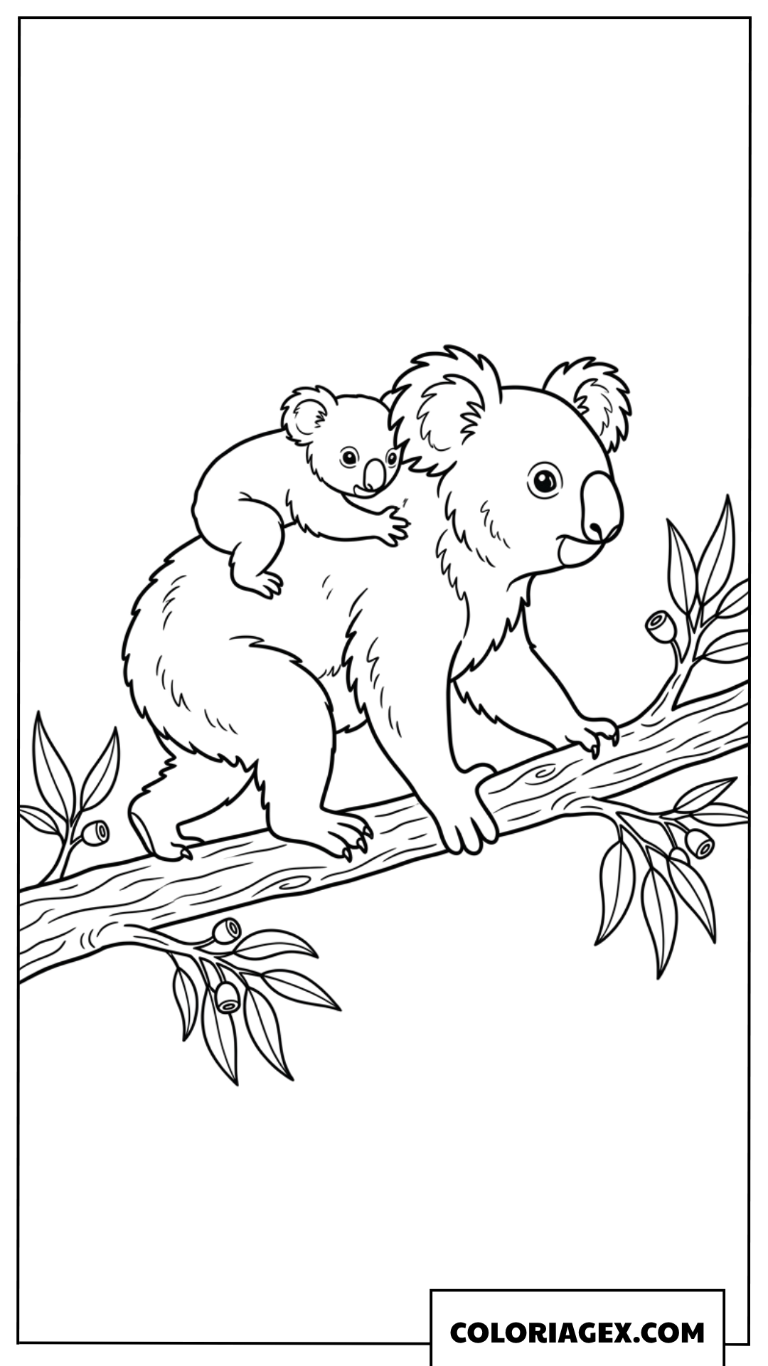Coloriage dun bebe koala grimpe sur le dos de maman