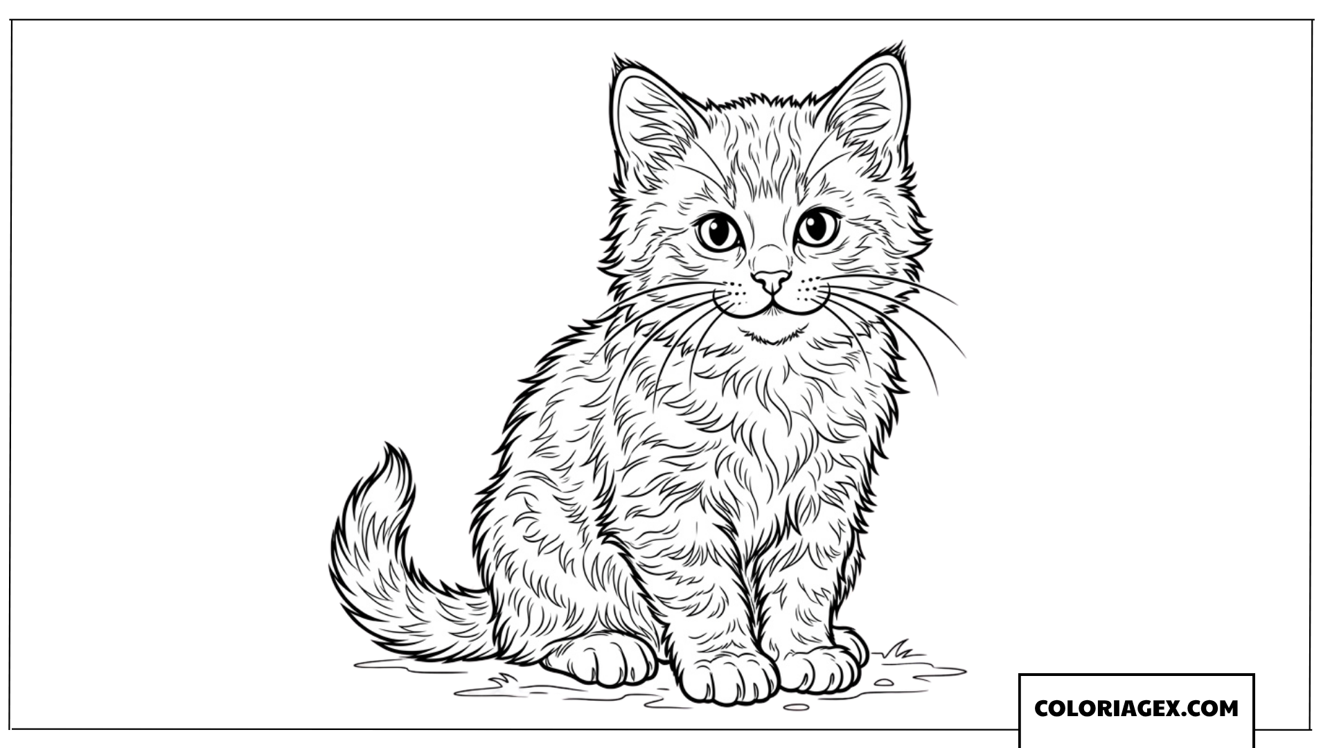 Coloriage d'un chaton assis droit avec un pelage détaillé