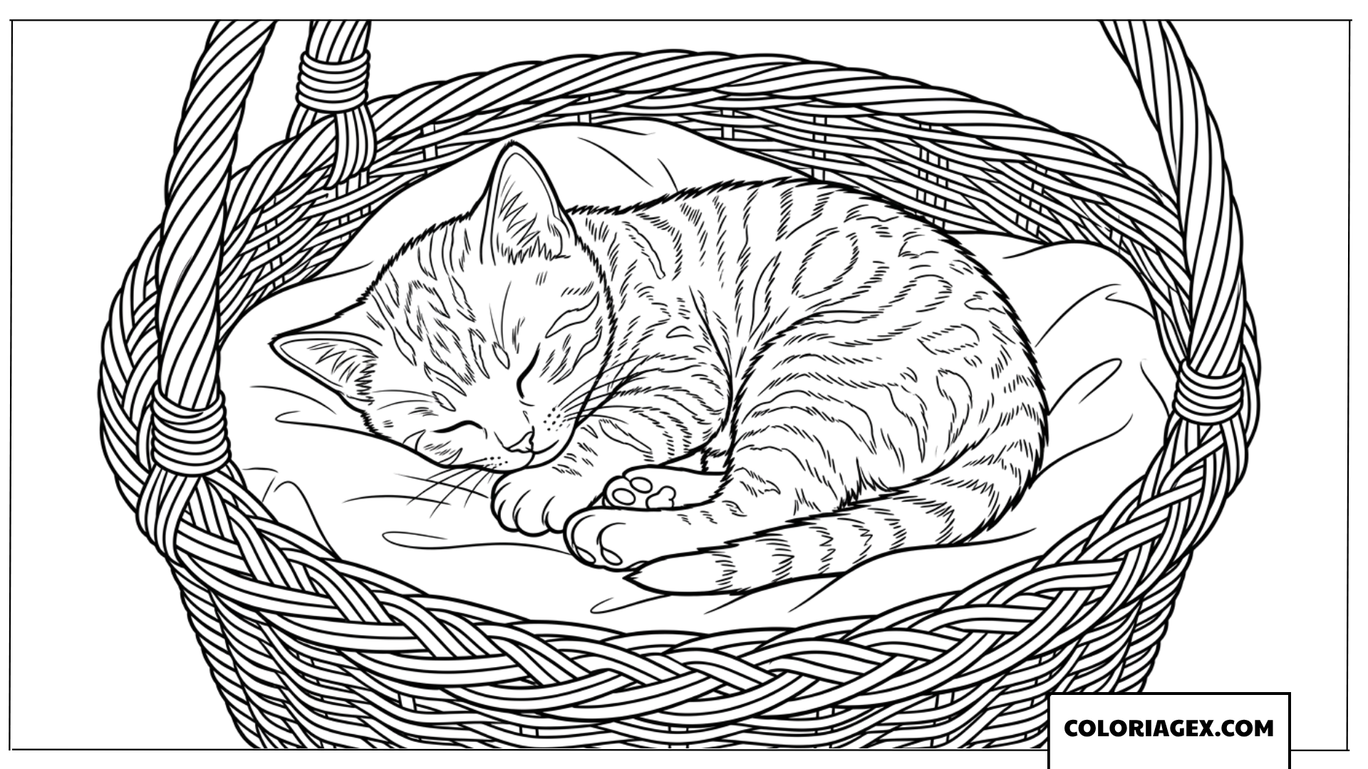 Coloriage d'un chaton tigré dormant paisiblement dans un panier