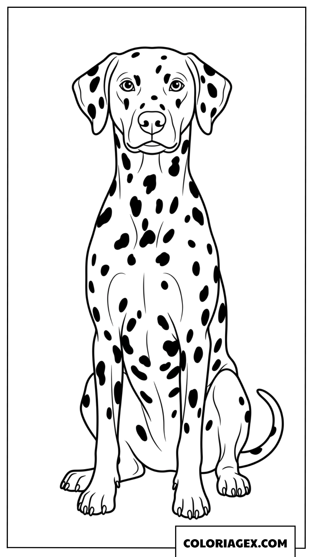 Coloriage d'un chien dalmatien avec ses taches