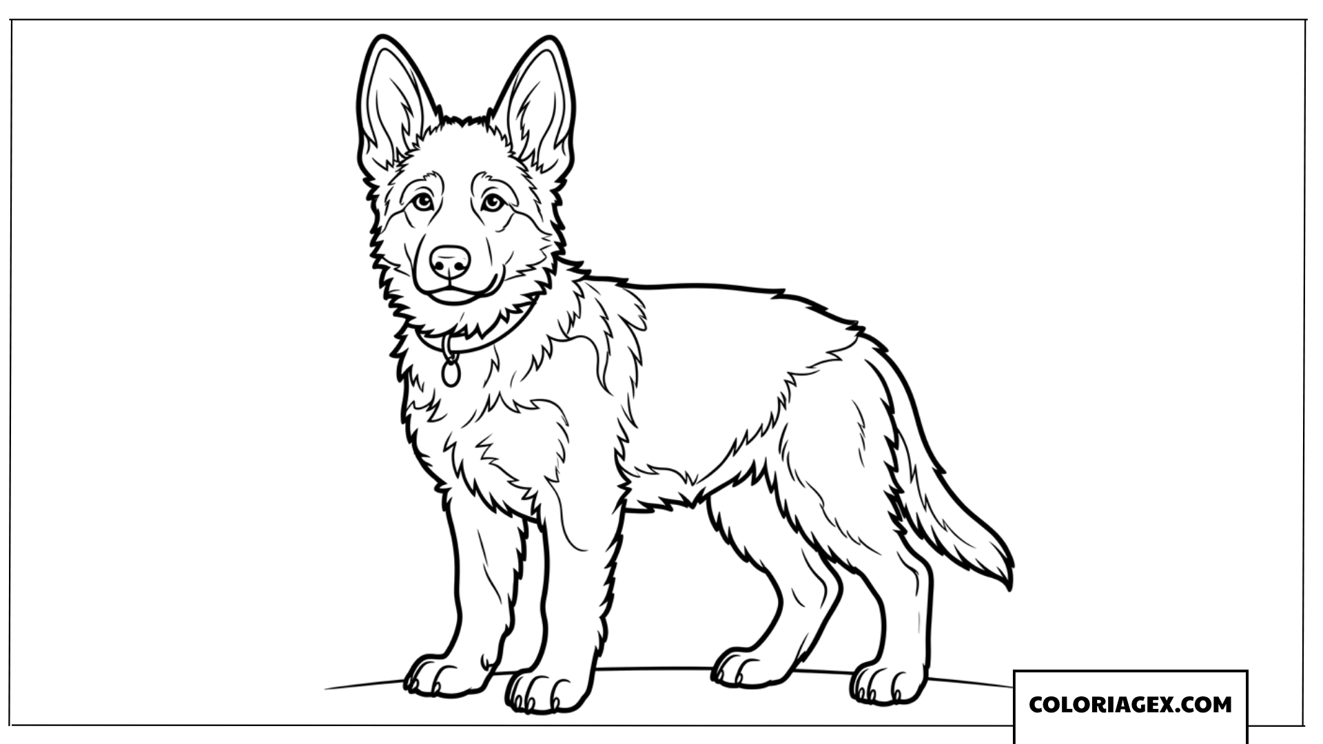 Coloriage d'un chiot Berger Allemand debout fier