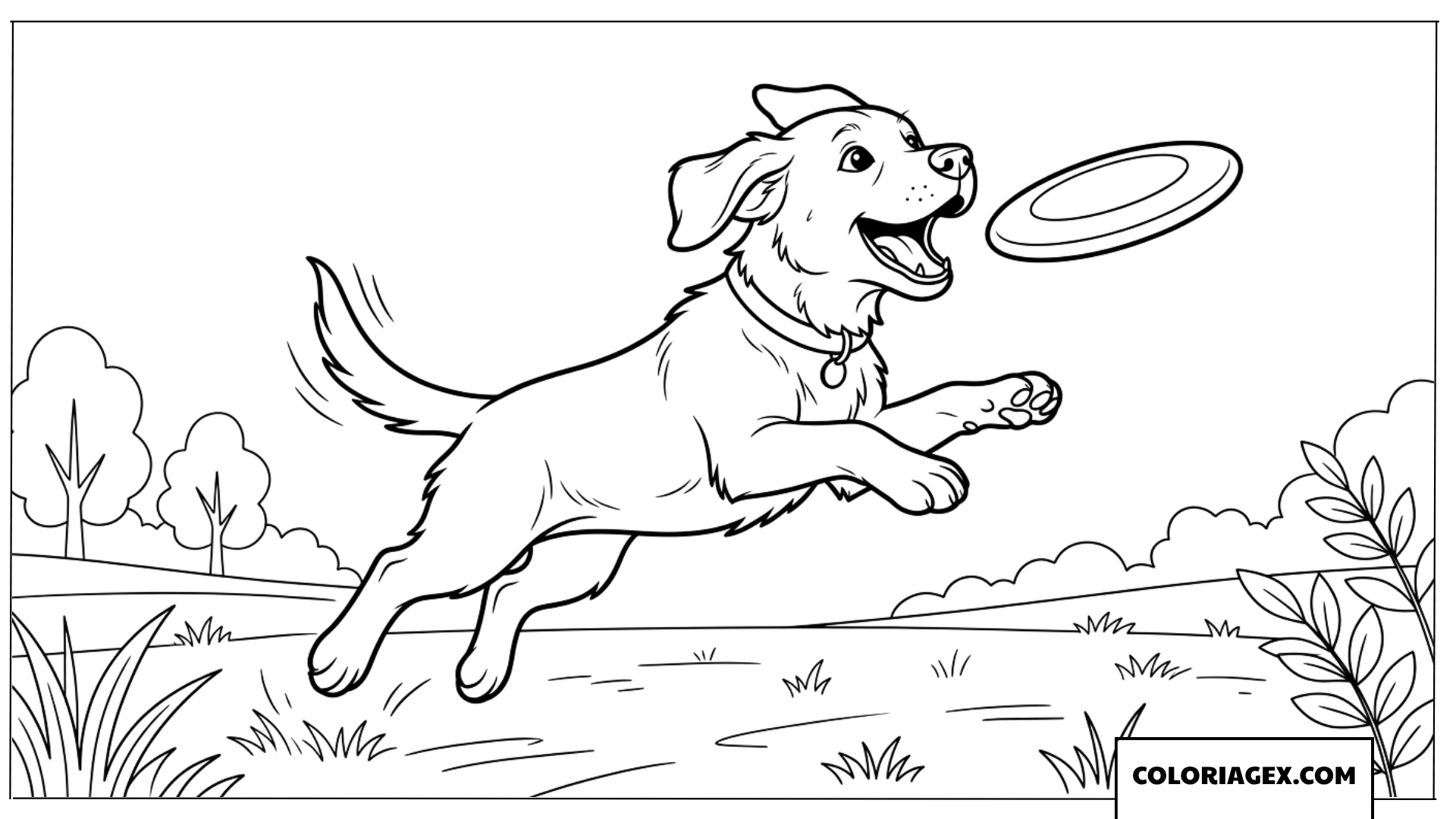 Coloriage d'un chiot Labrador dynamique attrapant un frisbee
