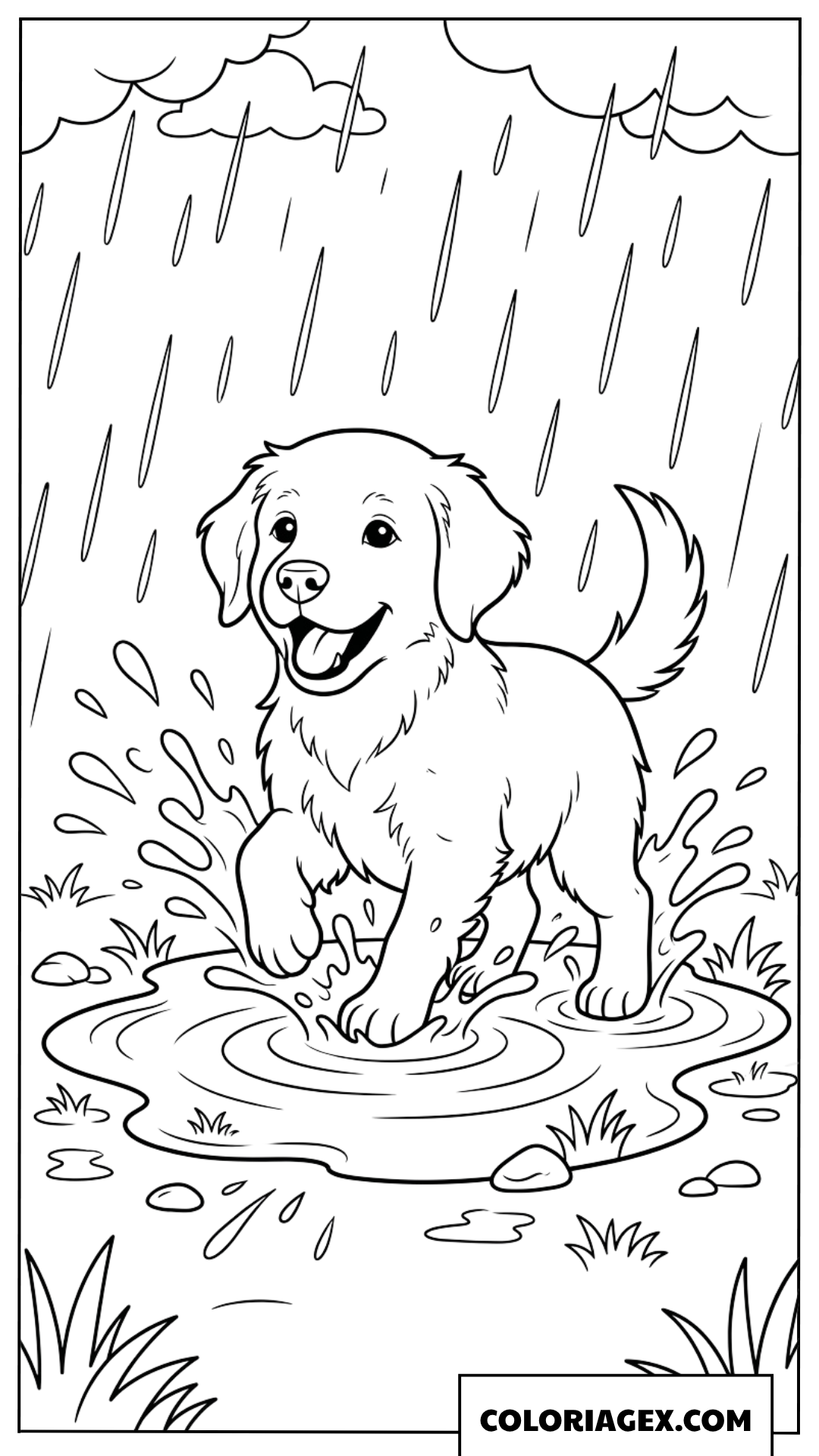 Coloriage d'un chiot malicieux éclaboussant de l'eau