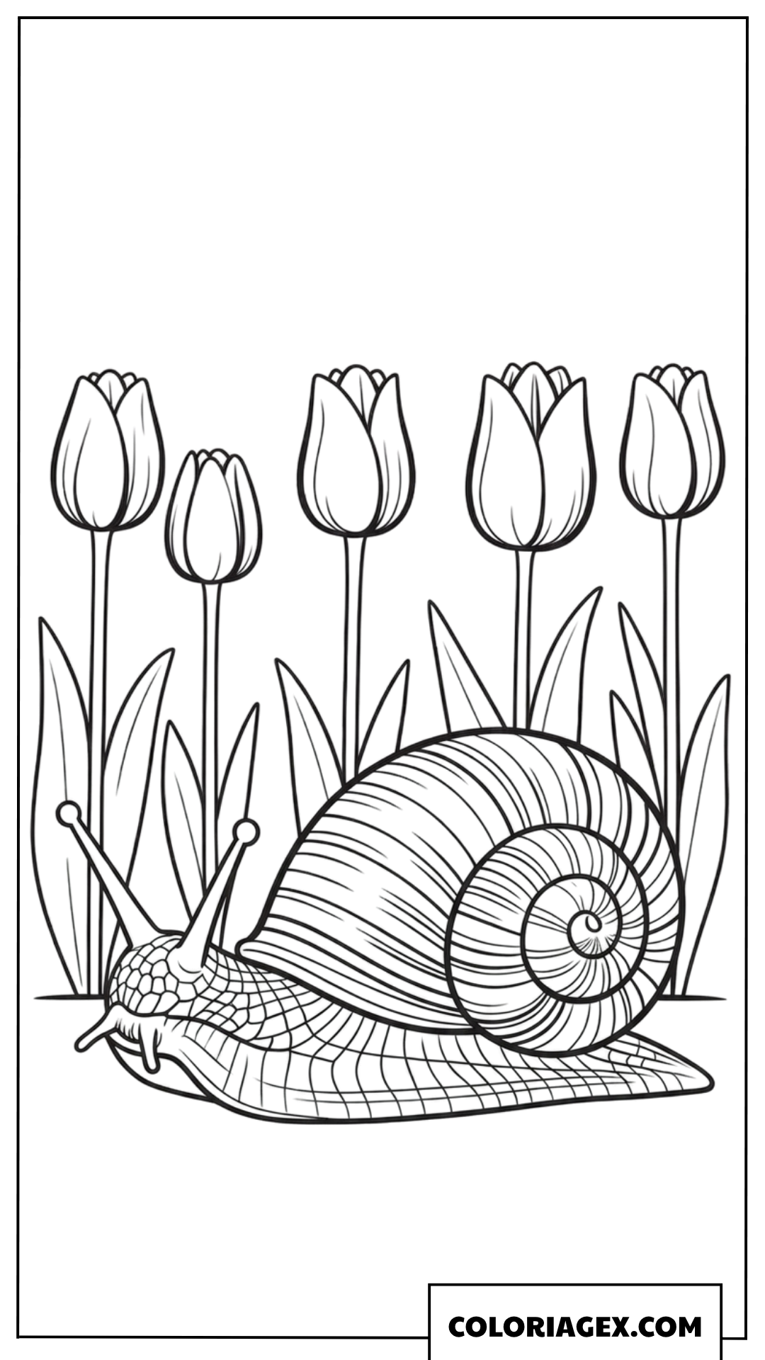 Coloriage d'un escargot souriant dans un jardin de tulipes