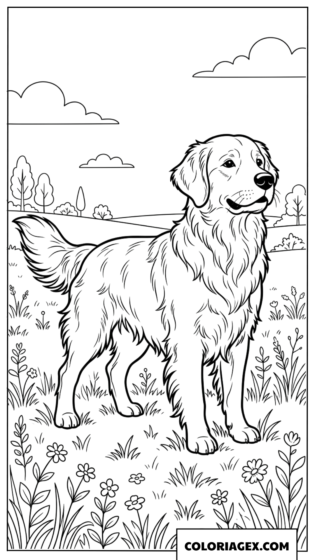 Coloriage d'un golden retriever dans les fleurs