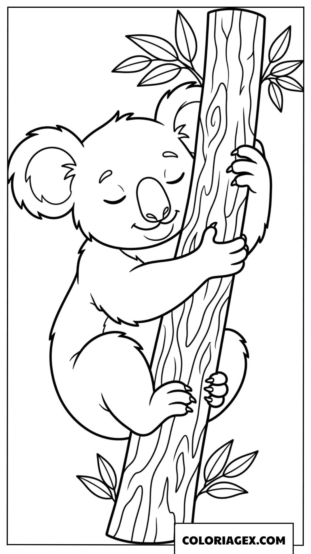 Coloriage dun koala paisible qui fait la sieste