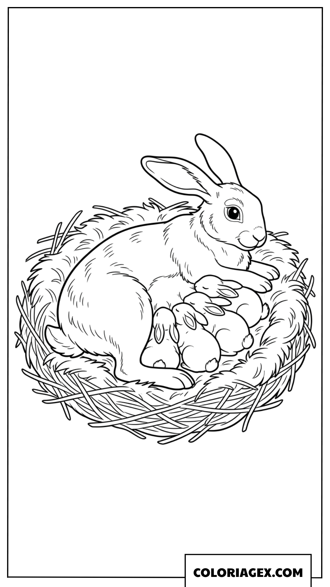 Coloriage d'une maman lapin s'occupant tendrement de ses petits