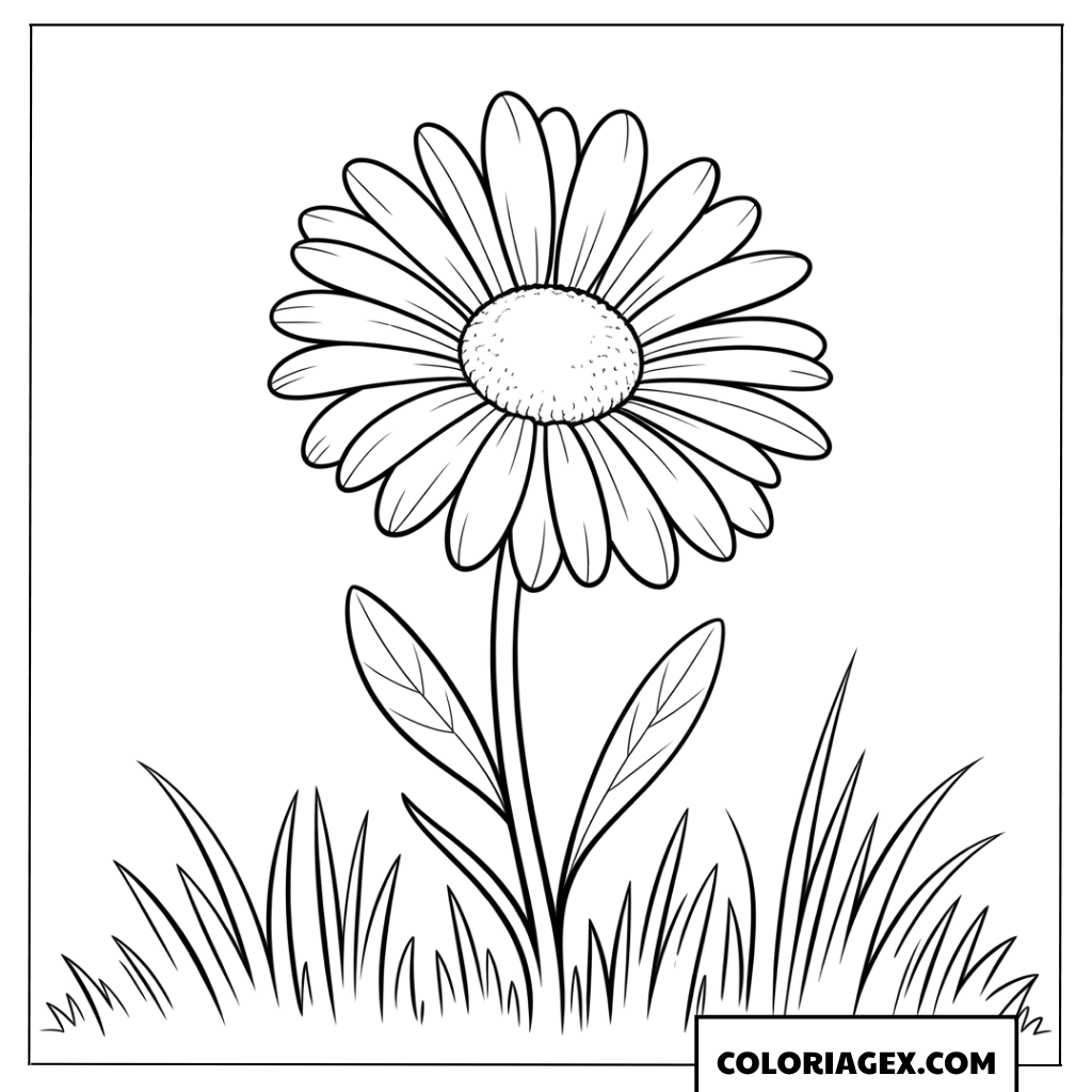 Coloriage d'une marguerite simple posée sur une belle pelouse