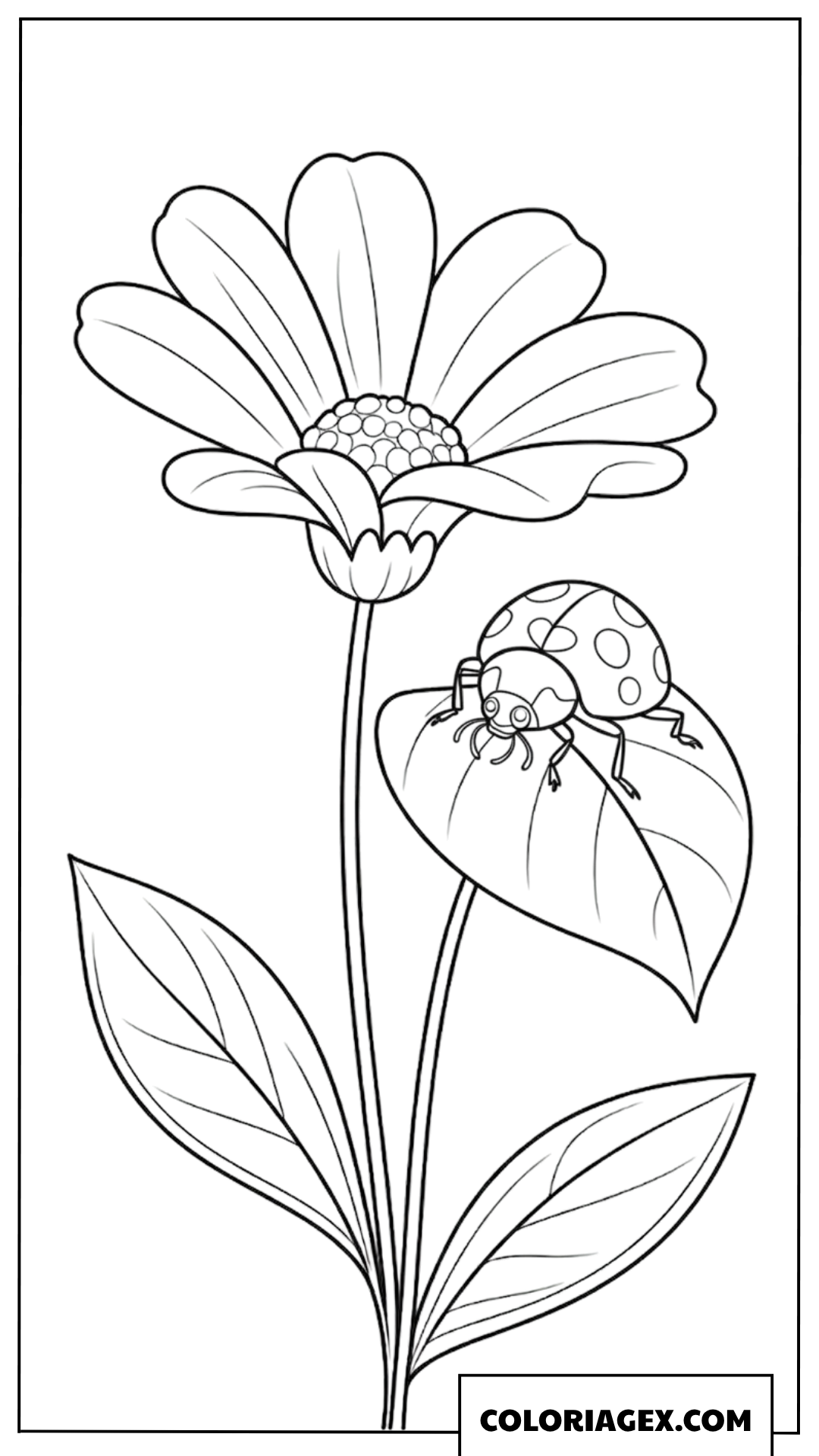 Coloriage d'une mignonne coccinelle sur une feuille de fleur