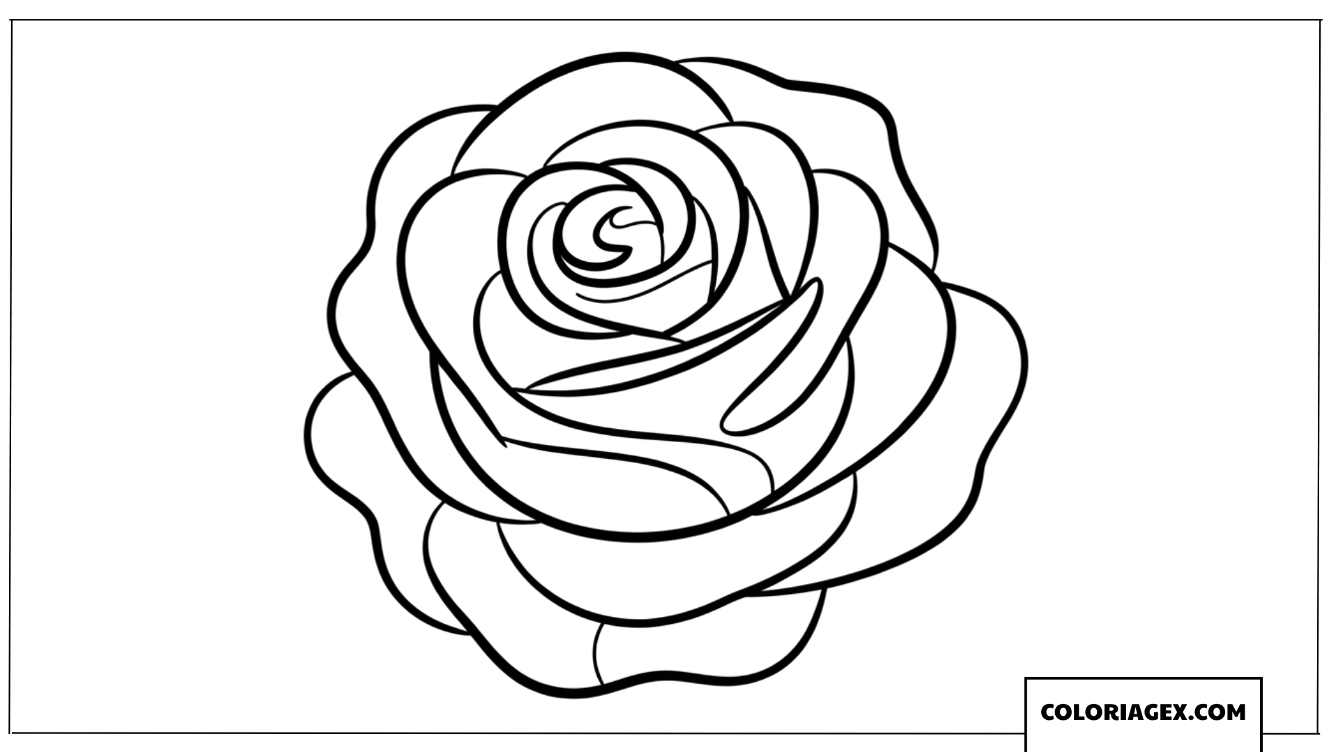 Coloriage d'une rose simple et gracieuse