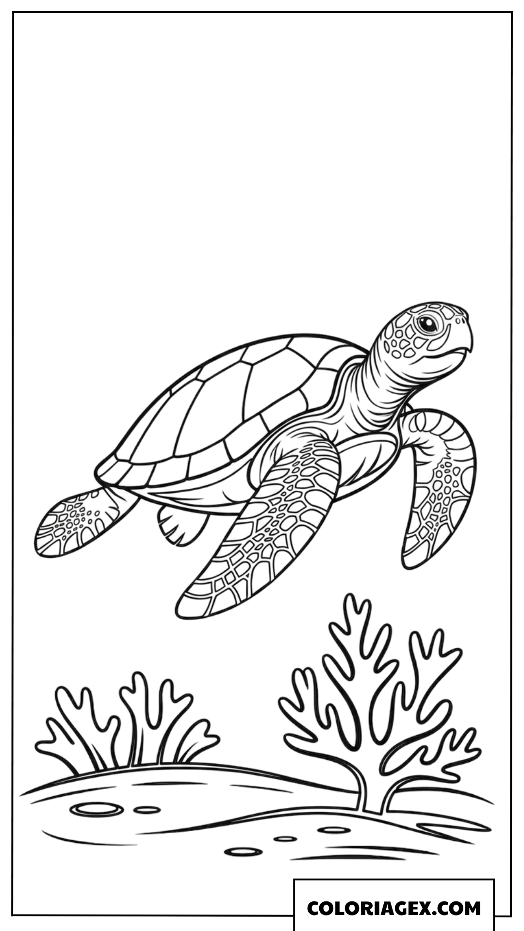 Coloriage dune tortue de mer nageant pres du corail