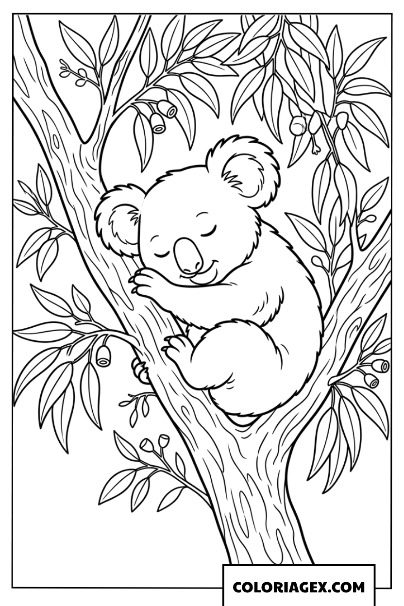 Coloriage koala paisible endormi dans un eucalyptus