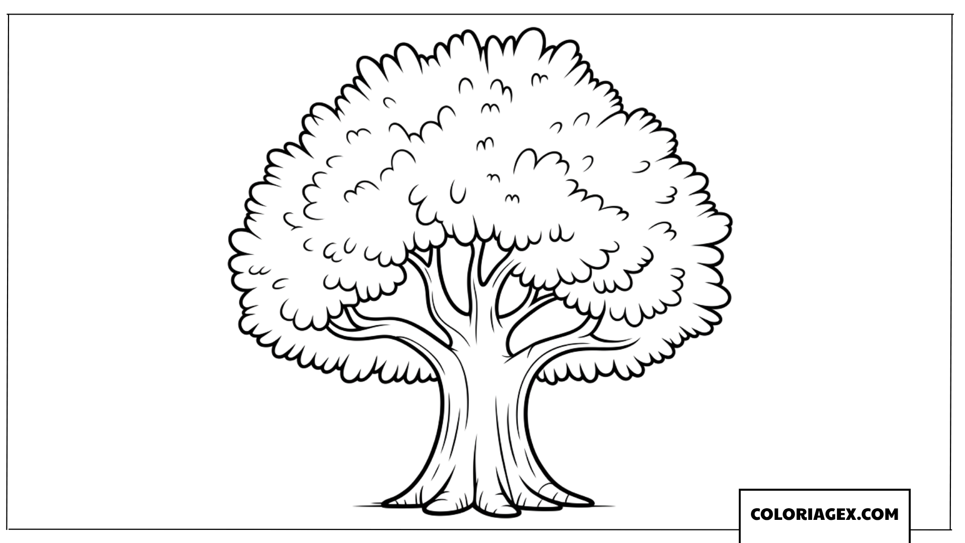 Dessin d un grand arbre avec un feuillage dense
