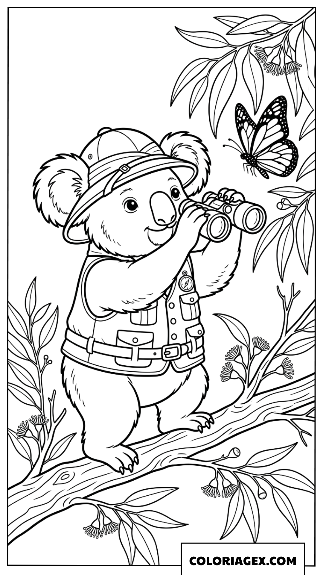 Dessin de Koala explorateur observant avec des jumelles