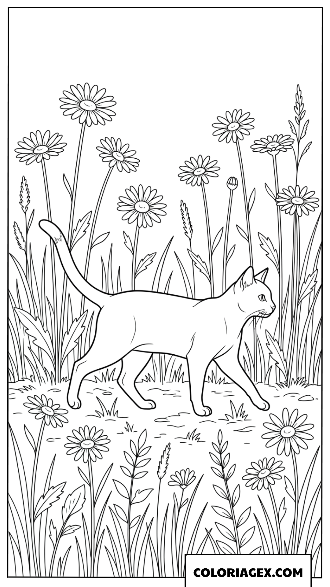 Dessin de chaton se promenant dans un champ de marguerites