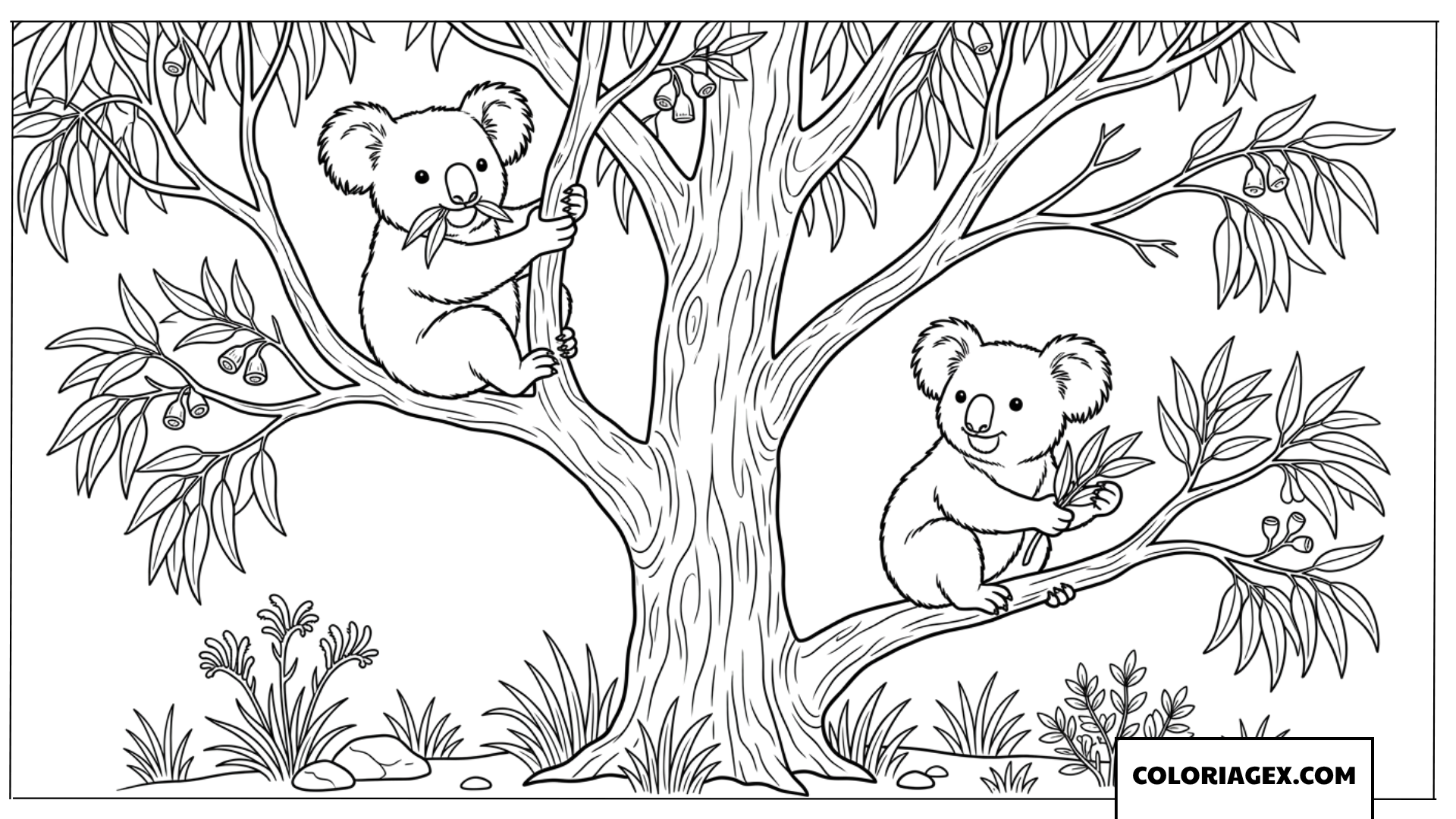 Dessin de deux Koalas explorant un arbre en foret