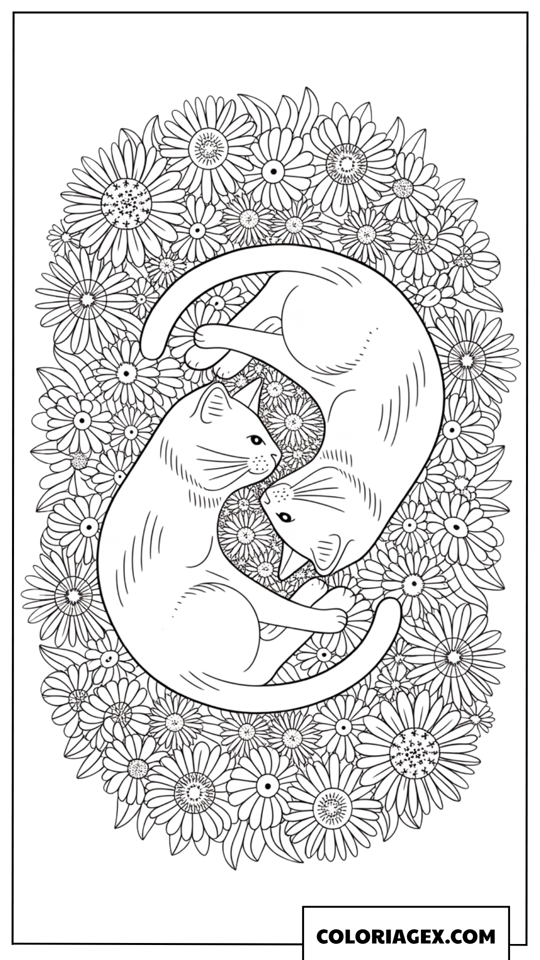 Dessin de deux chats entrelaces en cercle floral