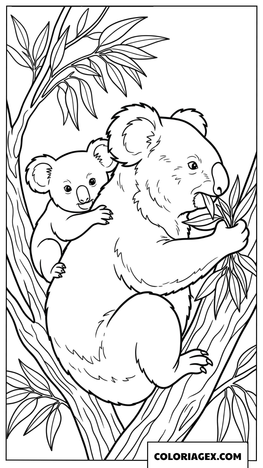 Dessin de maman koala qui mange avec son petit