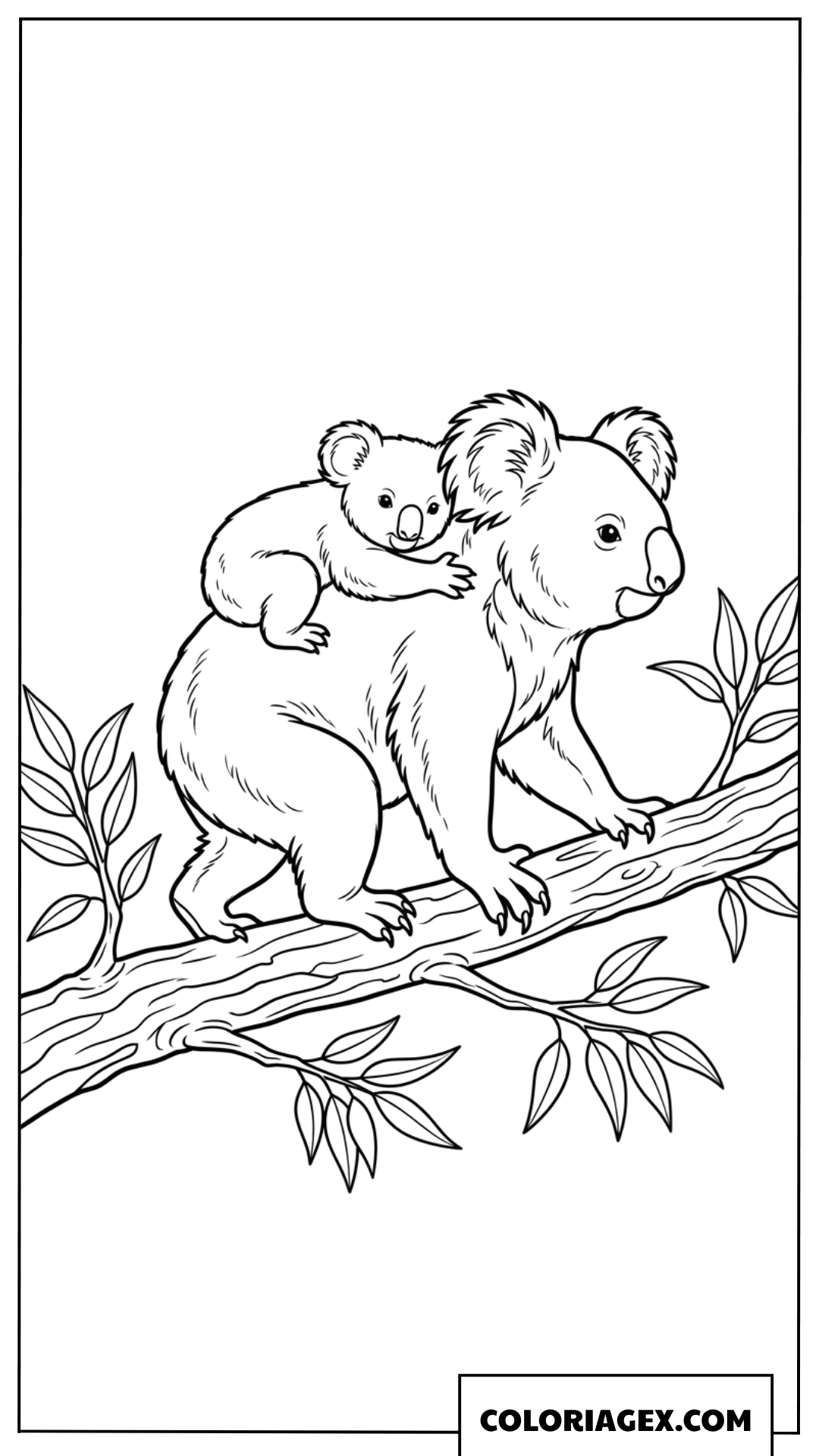 Dessin de maman koala transportant son petit sur son dos