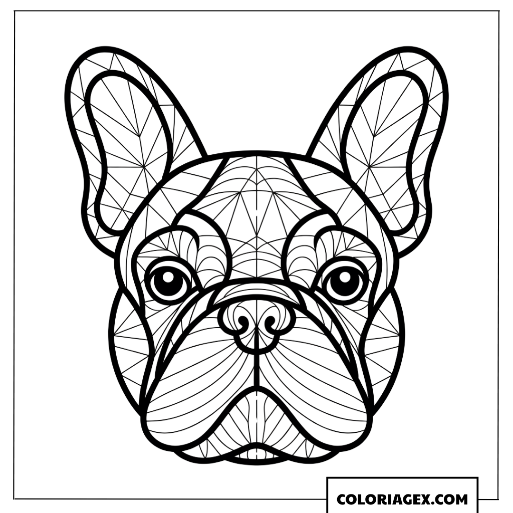 Dessin de tete de Bouledogue Francais avec motifs geometriques a colorier