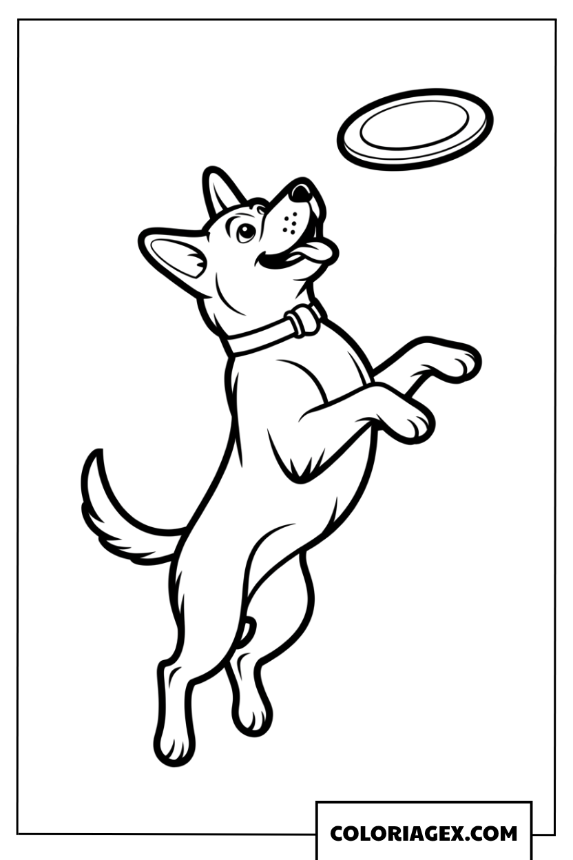 Dessin dun chien joyeux jouant avec un frisbee