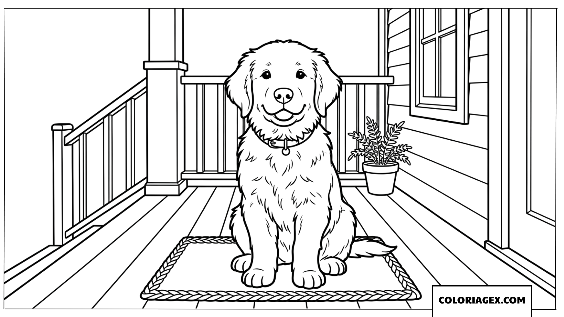 Dessin d'un chiot poilu assis sur la véranda