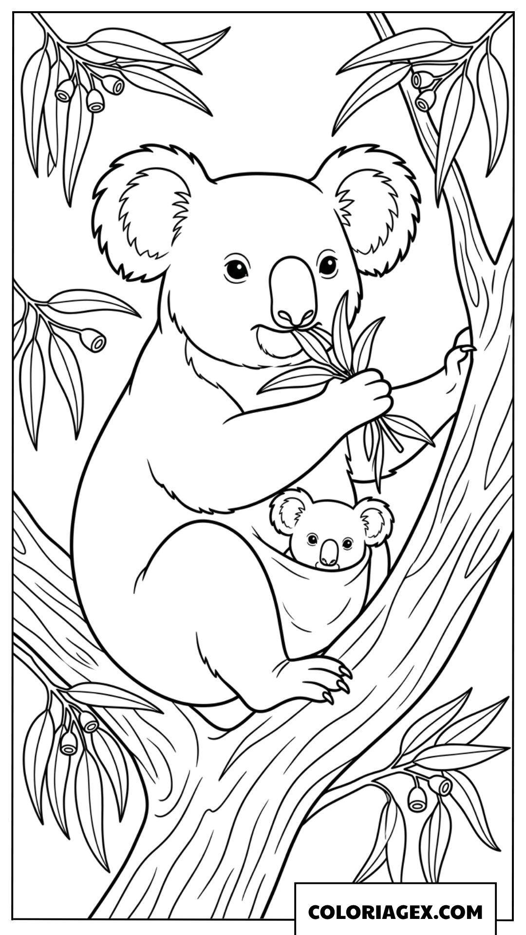 Dessin dun koala maman mangeant avec son petit