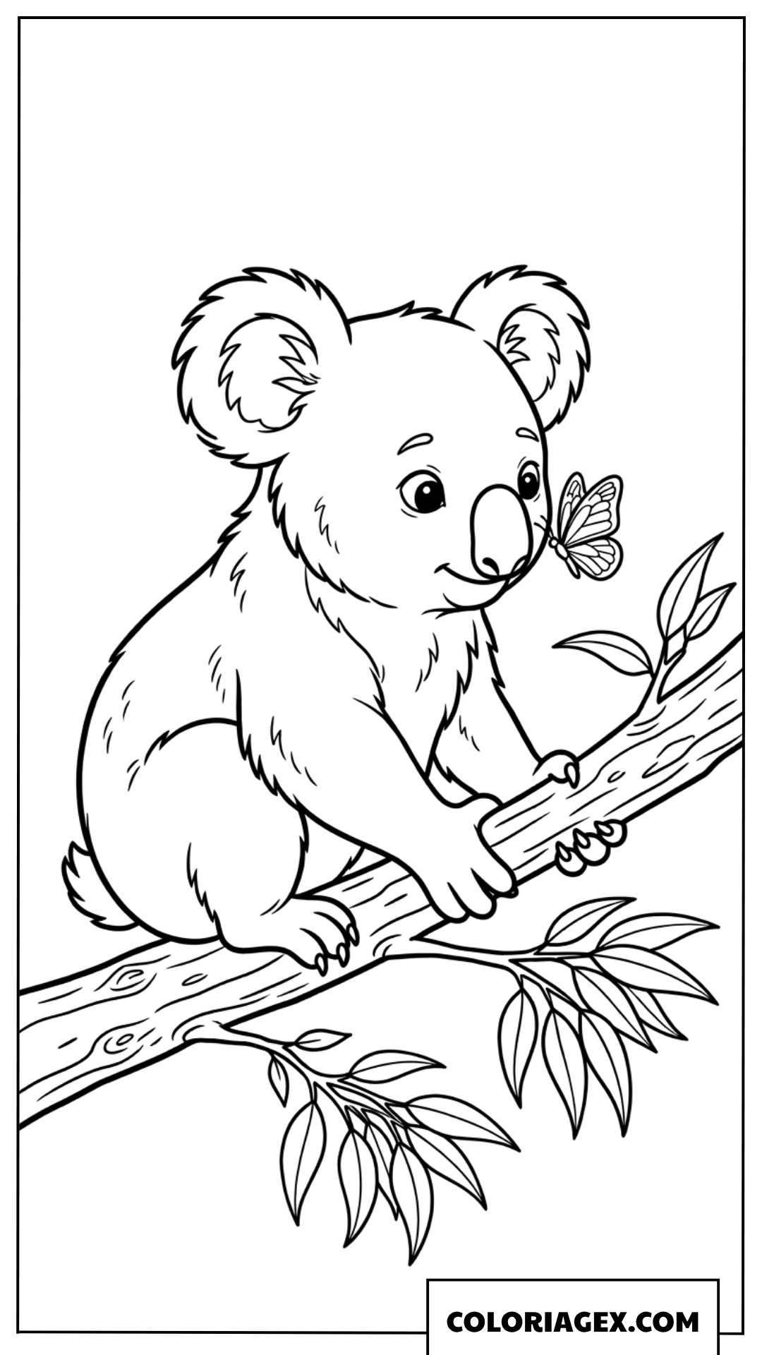 Dessin dun koala regardant un papillon sur une branche