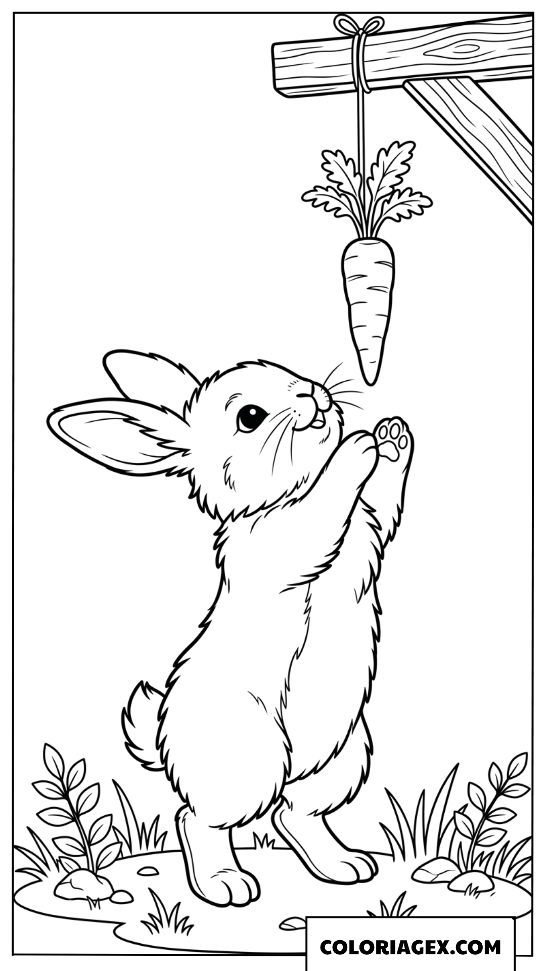 Dessin d'un lapin adorable essayant d'attraper une carotte